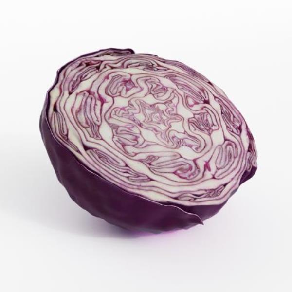 Cabbage 3D Model